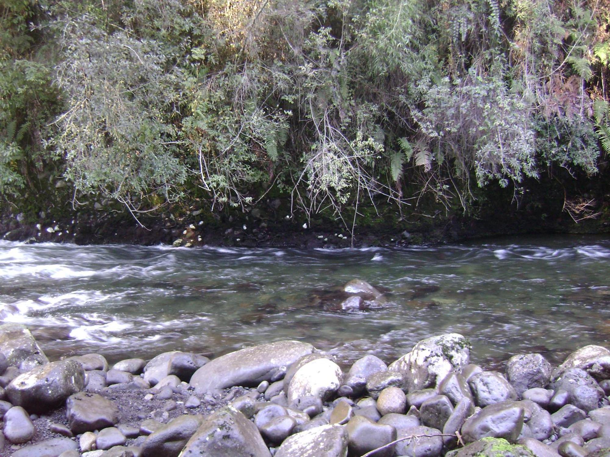 Cabanas Lago Azul Puerto Varas Esterno foto